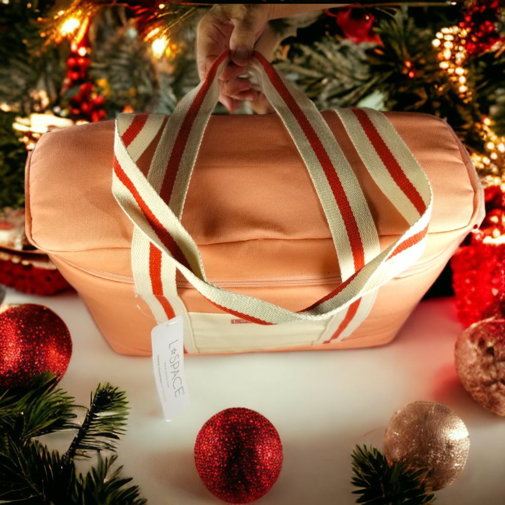 L*SPACE Coastal Cooler Bag NWT Pink Coral Insulated Beach Picnic Tote Red Stripe - Picture 4 of 8